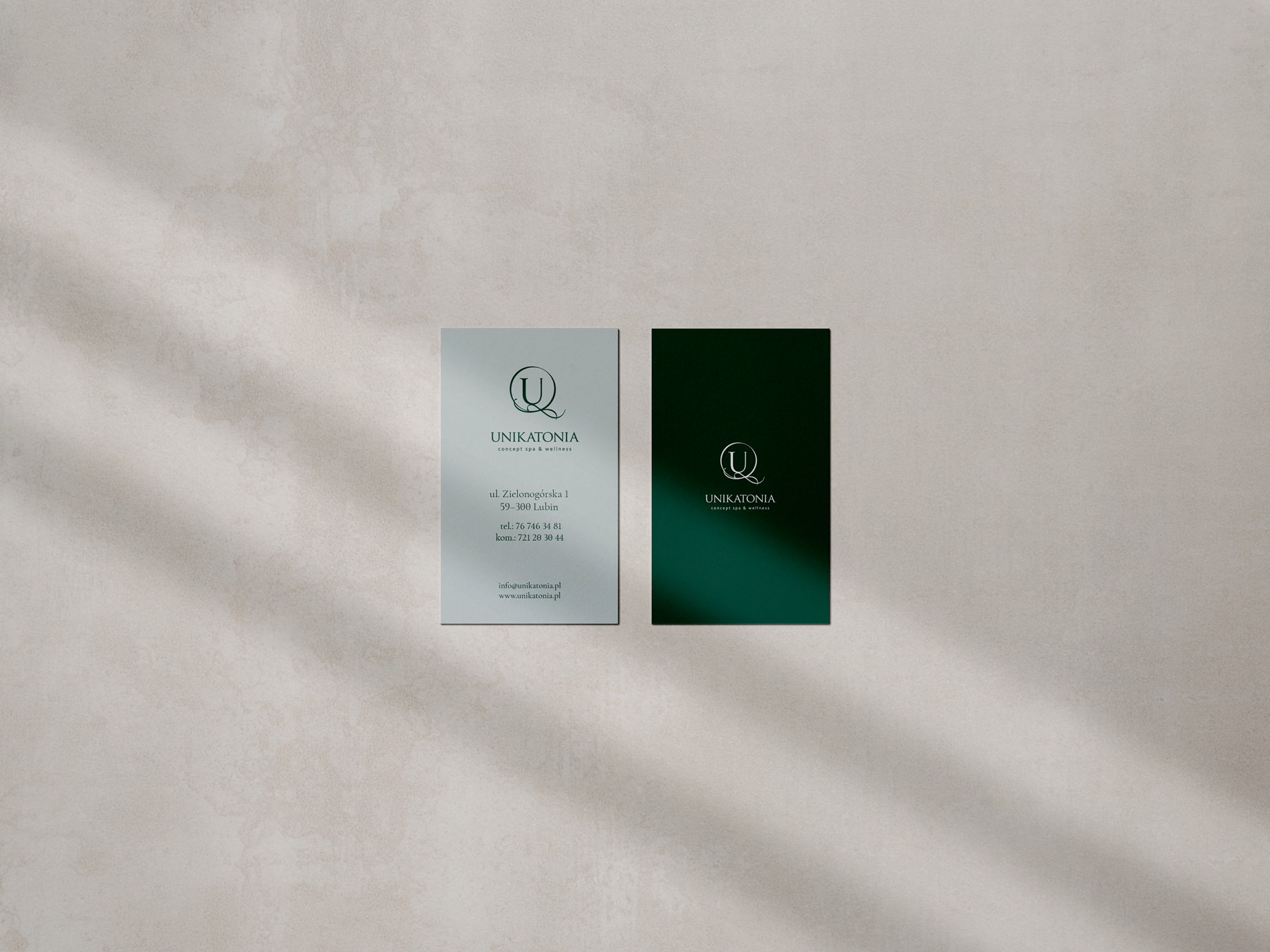 website design for a SPA